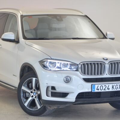 BMW X5 xDrive50i 5p.
